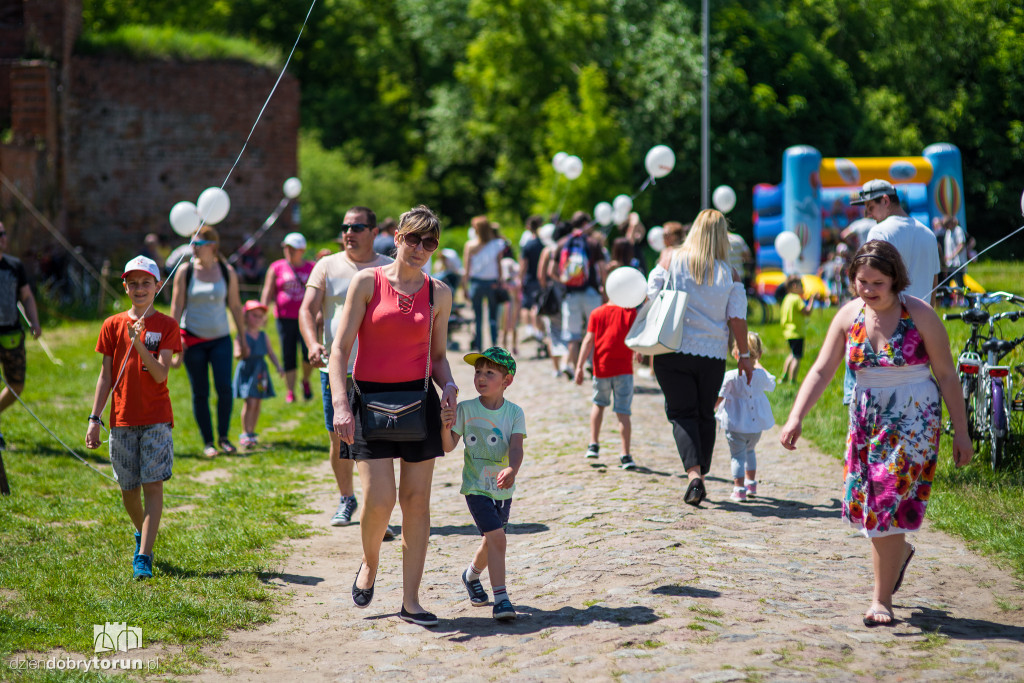 Festyn na Zamku Dybowskim