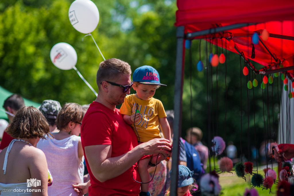 Festyn na Zamku Dybowskim