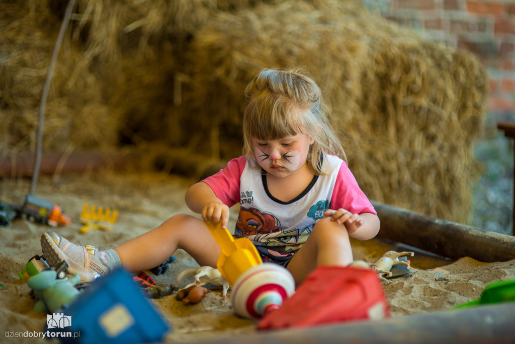 Festyn na Zamku Dybowskim