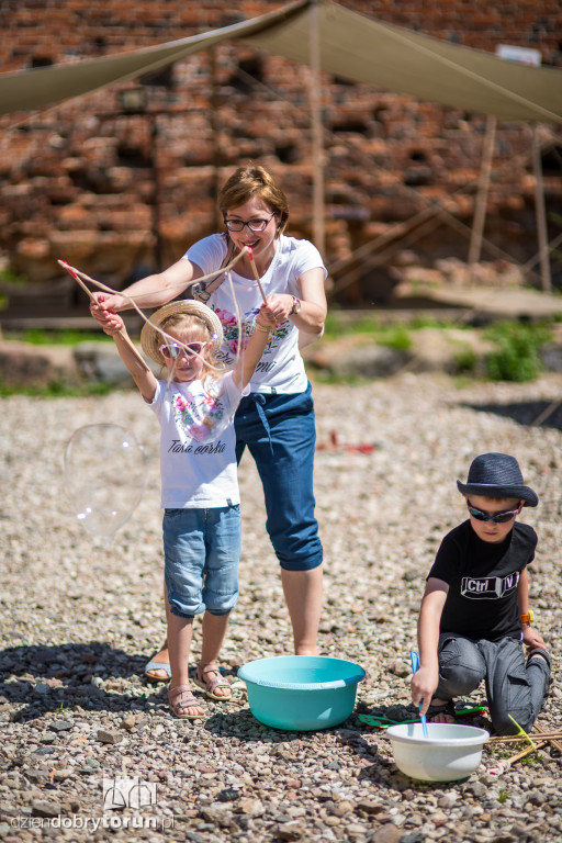 Festyn na Zamku Dybowskim
