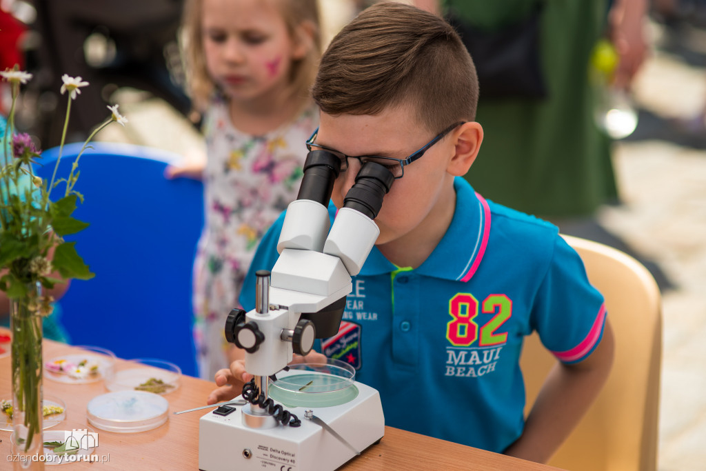 Piknik dla dzieci w Młynie Wiedzy