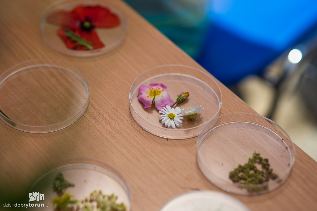 Piknik dla dzieci w Młynie Wiedzy