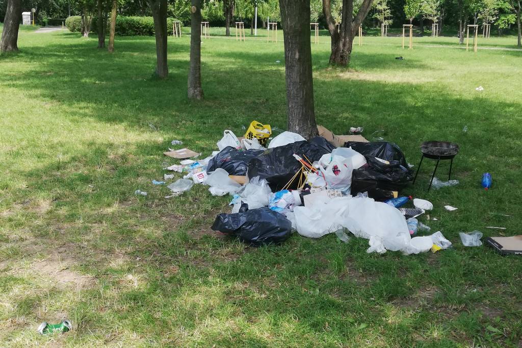 Sterta śmieci zalegających na Martówce