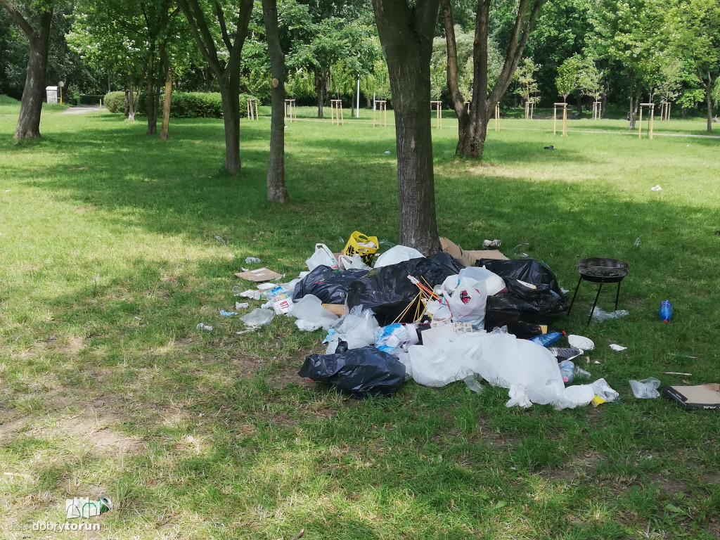 Sterta śmieci zalegających na Martówce