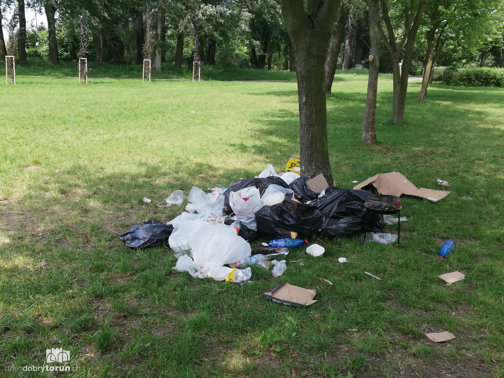 Sterta śmieci zalegających na Martówce