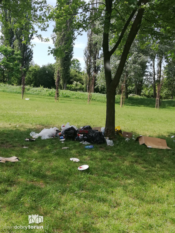 Sterta śmieci zalegających na Martówce