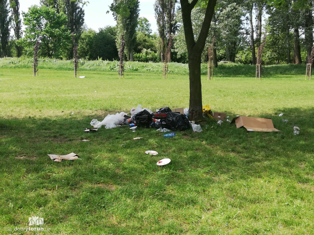 Sterta śmieci zalegających na Martówce
