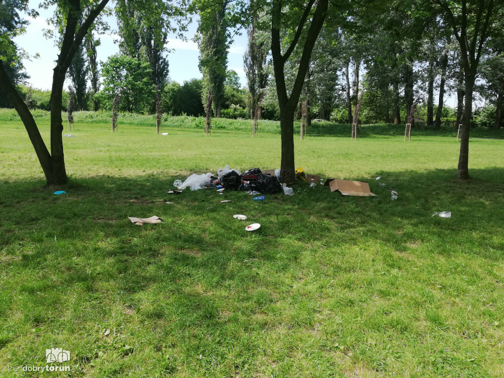 Sterta śmieci zalegających na Martówce