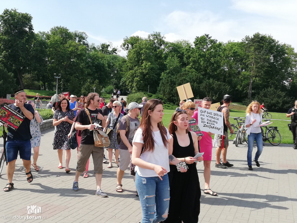 Protest przeciwko wycince drzew na Alei Jana Pawła II