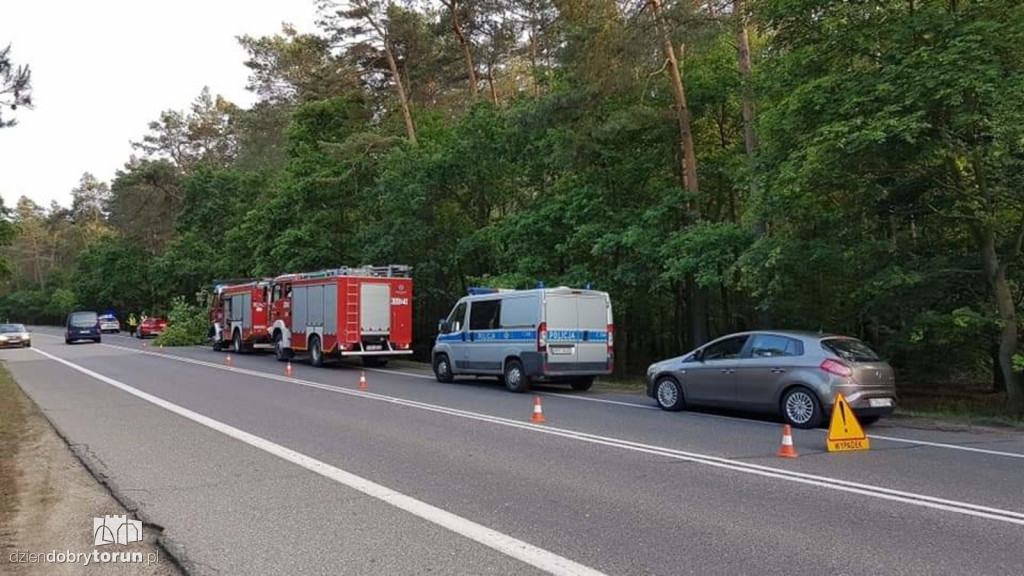 Tragiczny wypadek w Strzyżawie