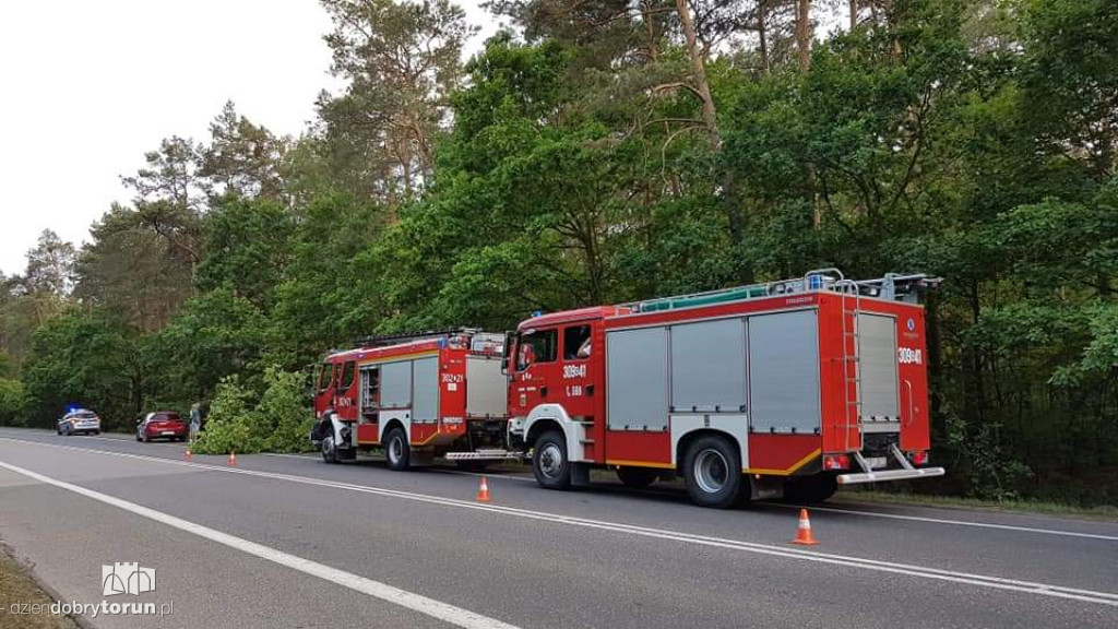 Tragiczny wypadek w Strzyżawie