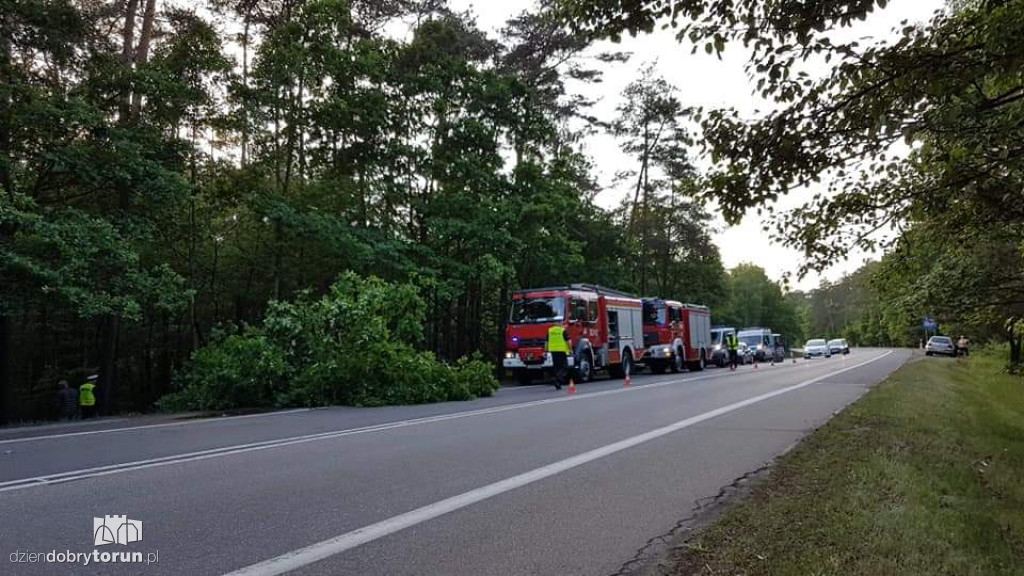 Tragiczny wypadek w Strzyżawie
