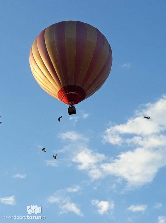Balony nad Toruniem. Zobacz zdjęcia