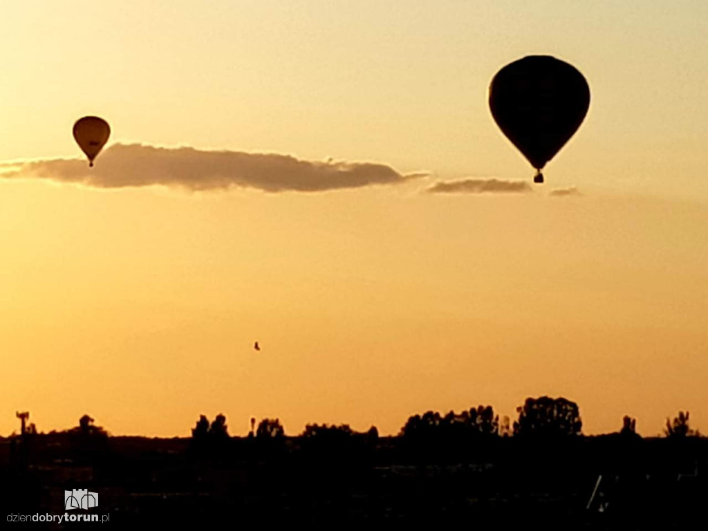 Balony nad Toruniem. Zobacz zdjęcia