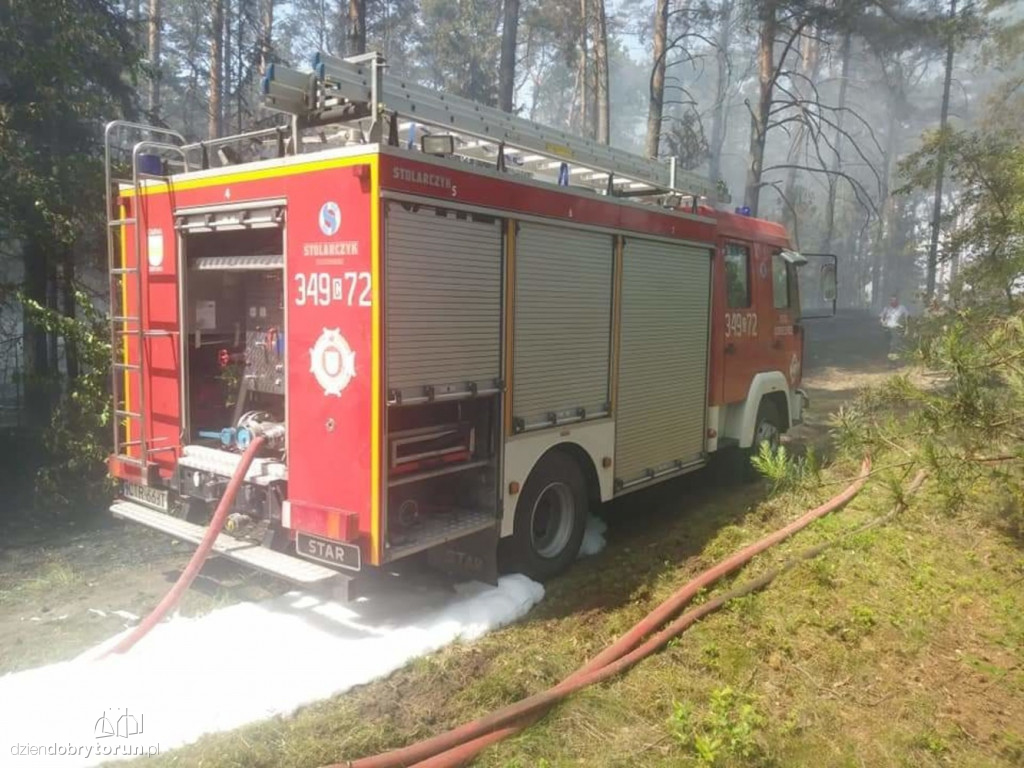 Gigantyczny pożar lasu  w Brzozówce