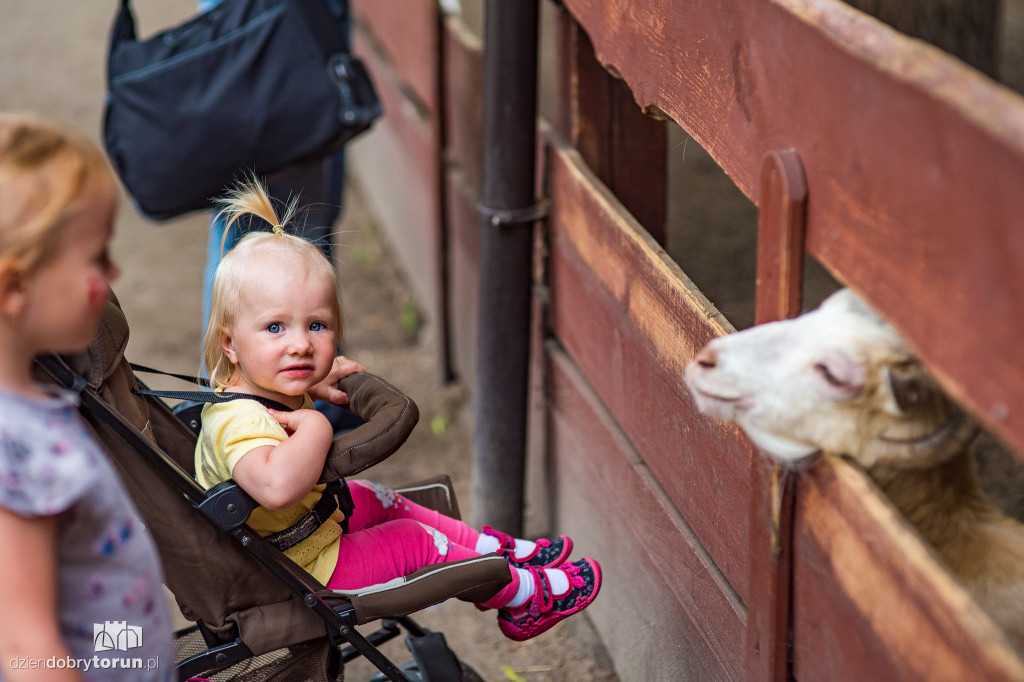 Festyn w ogodzie zoobotanicznym