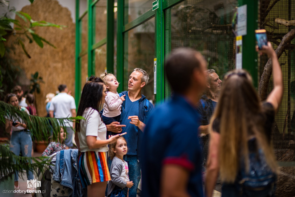 Festyn w ogodzie zoobotanicznym