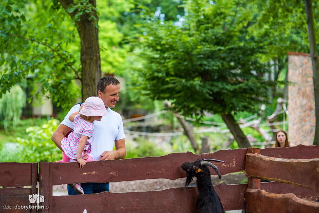 Festyn w ogodzie zoobotanicznym