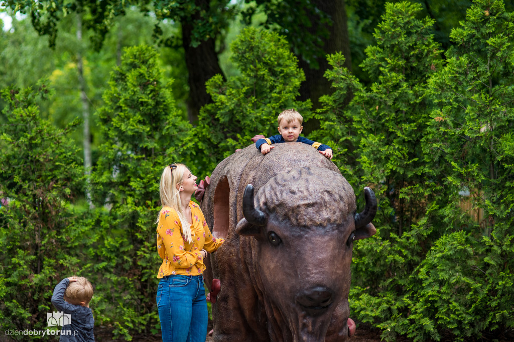 Festyn w ogodzie zoobotanicznym