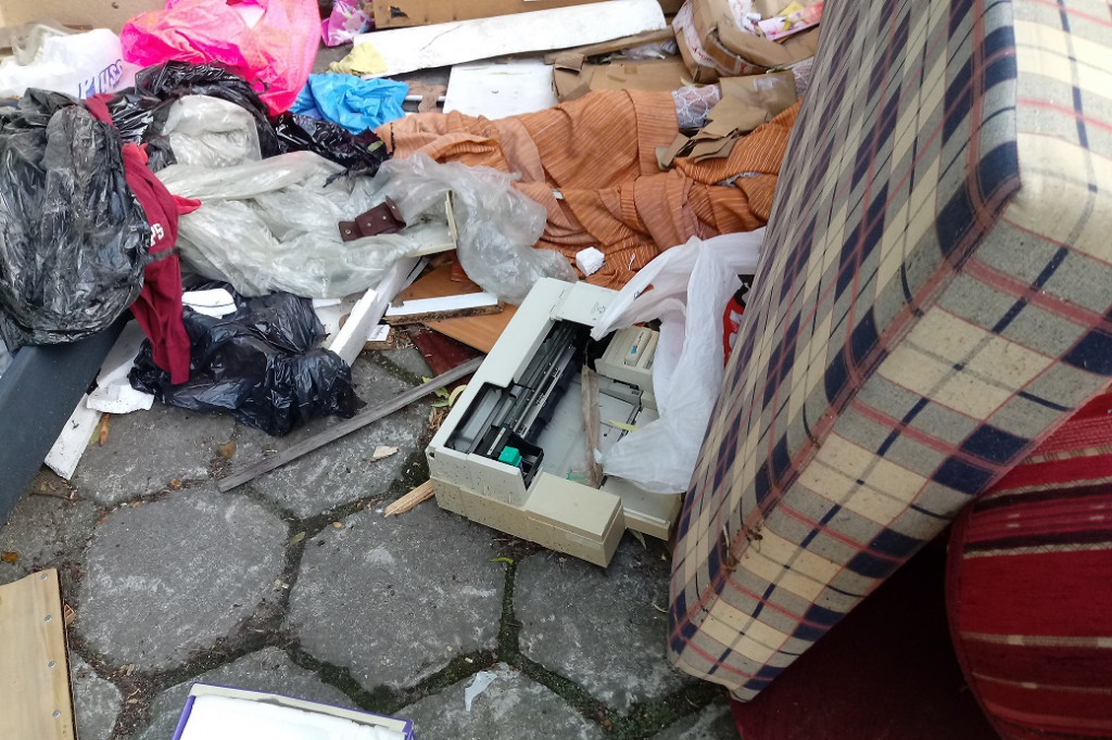 Na tych śmieciach są szczury!