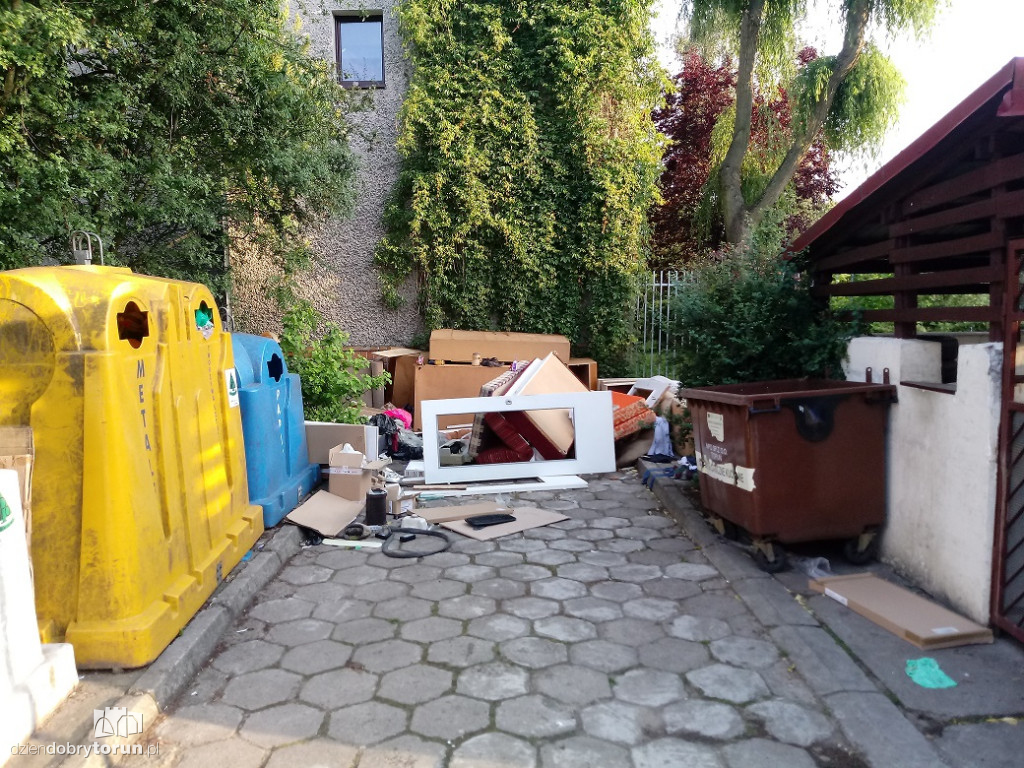 Na tych śmieciach są szczury!