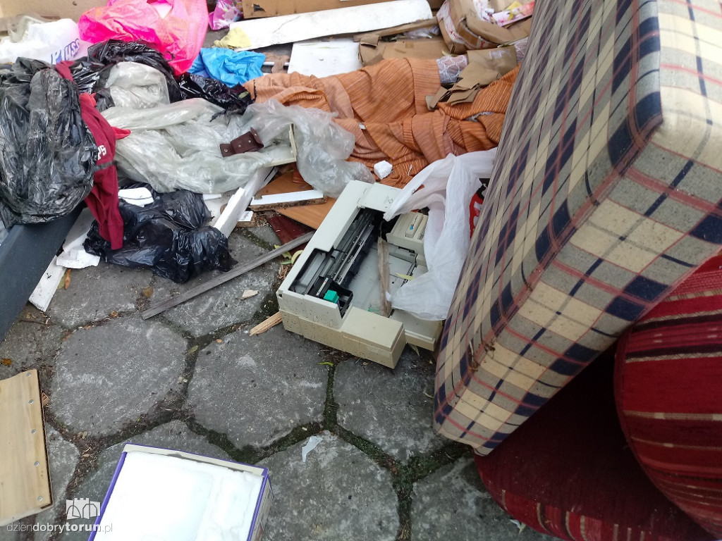 Na tych śmieciach są szczury!