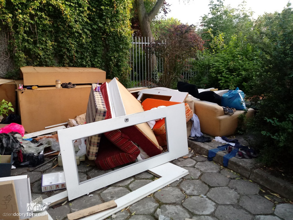 Na tych śmieciach są szczury!