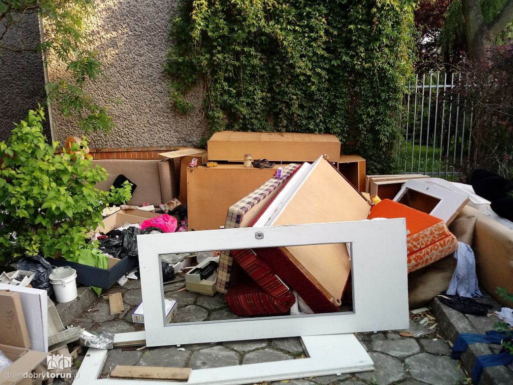 Na tych śmieciach są szczury!