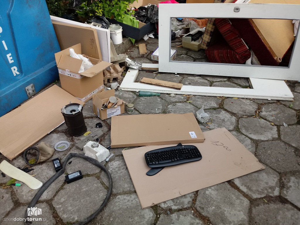Na tych śmieciach są szczury!