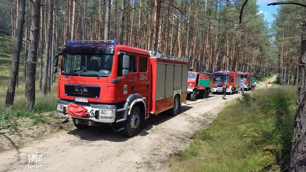 Gigantyczny pożar lasu koło Torunia