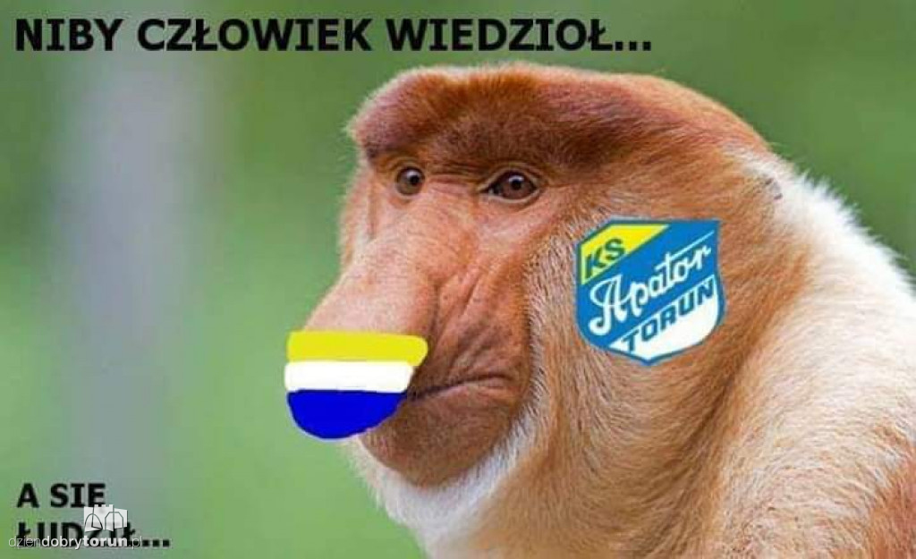 Memy po meczu Get Well Toruń - Motor Lublin