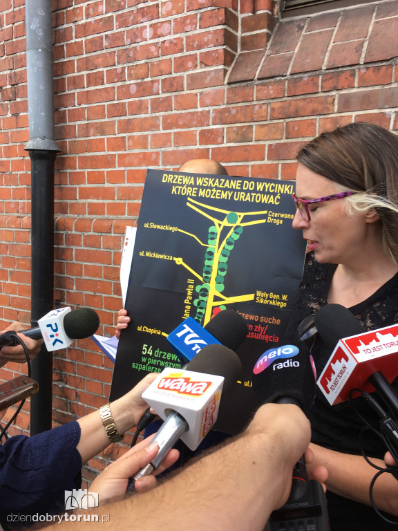 Konferencja prasowa w sprawie wycinki drzew w Toruniu