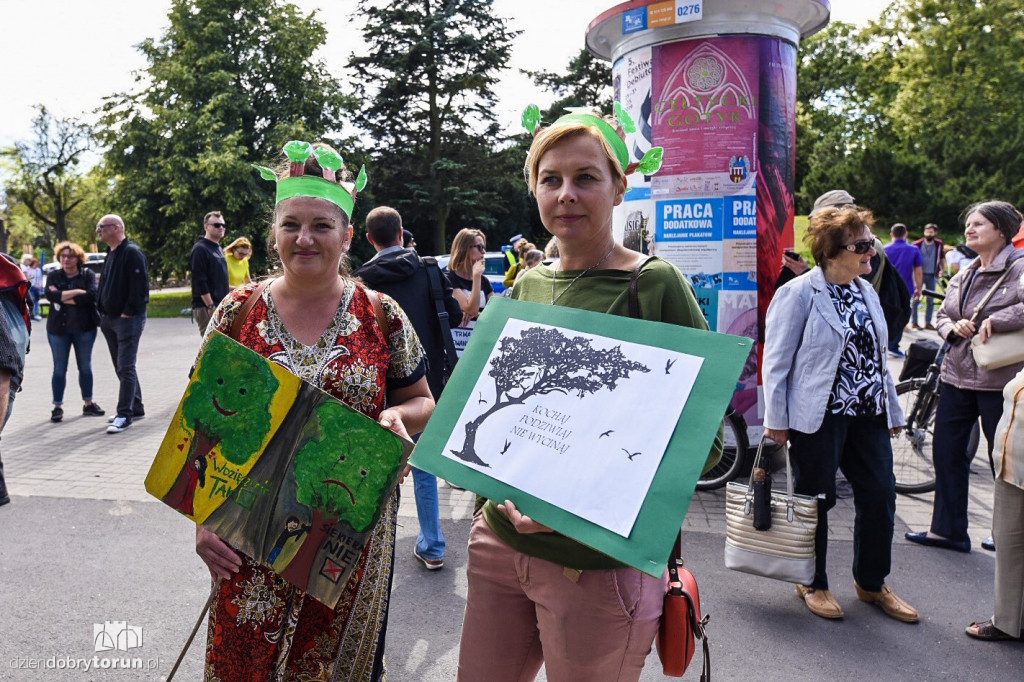 Protest przeciwko wycince drzew