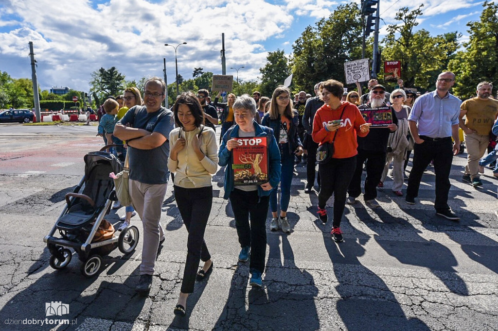 Protest przeciwko wycince drzew