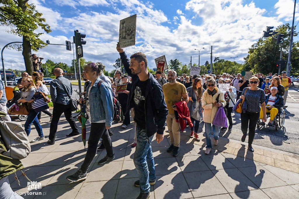 Protest przeciwko wycince drzew
