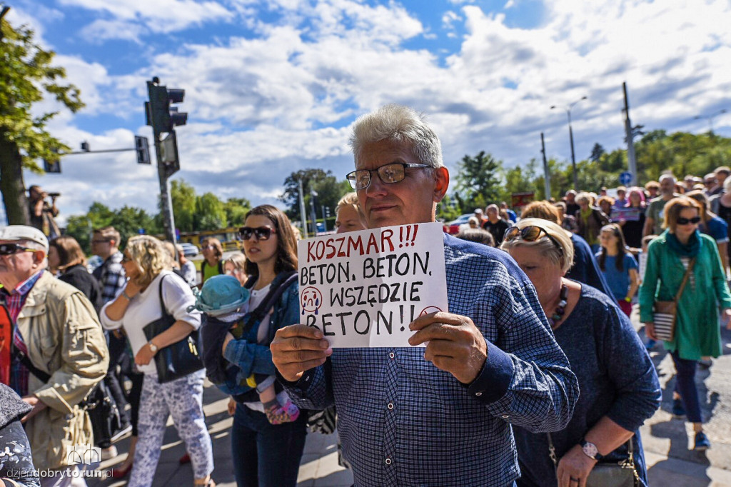 Protest przeciwko wycince drzew