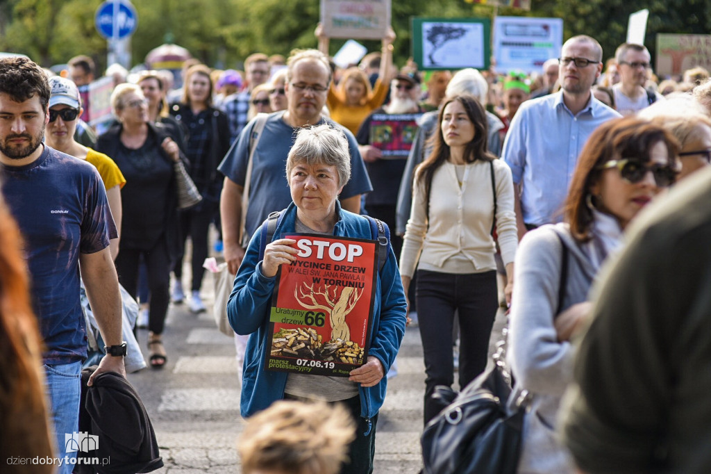Protest przeciwko wycince drzew