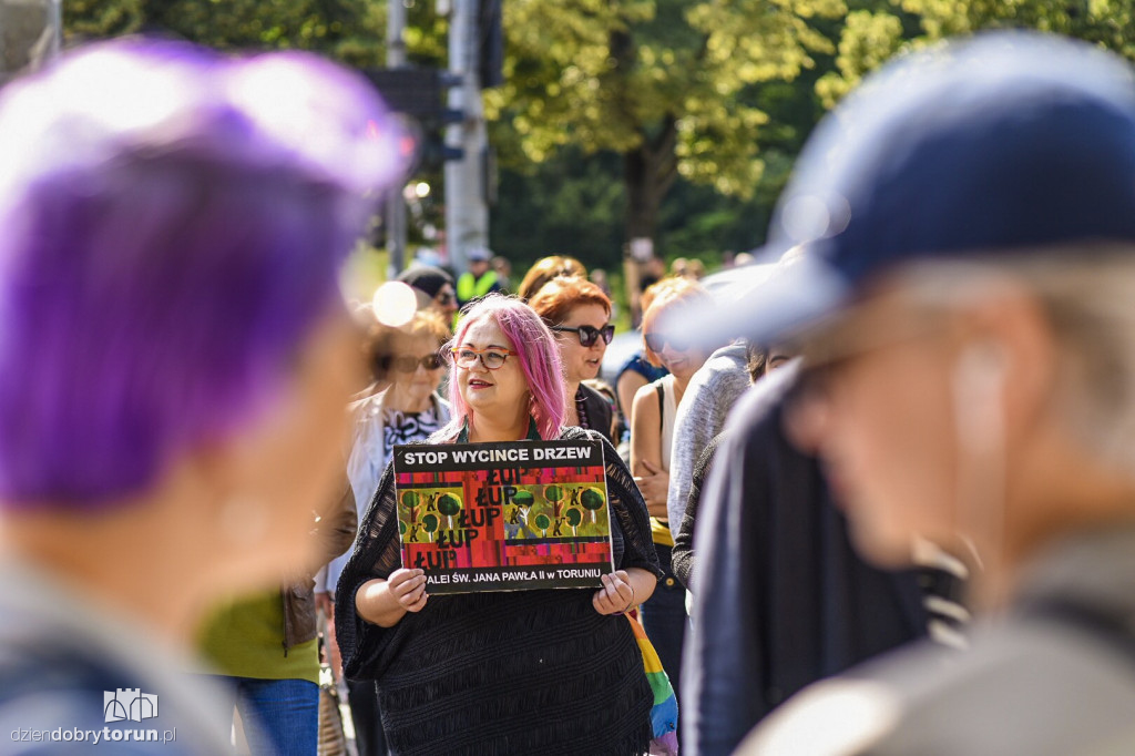 Protest przeciwko wycince drzew