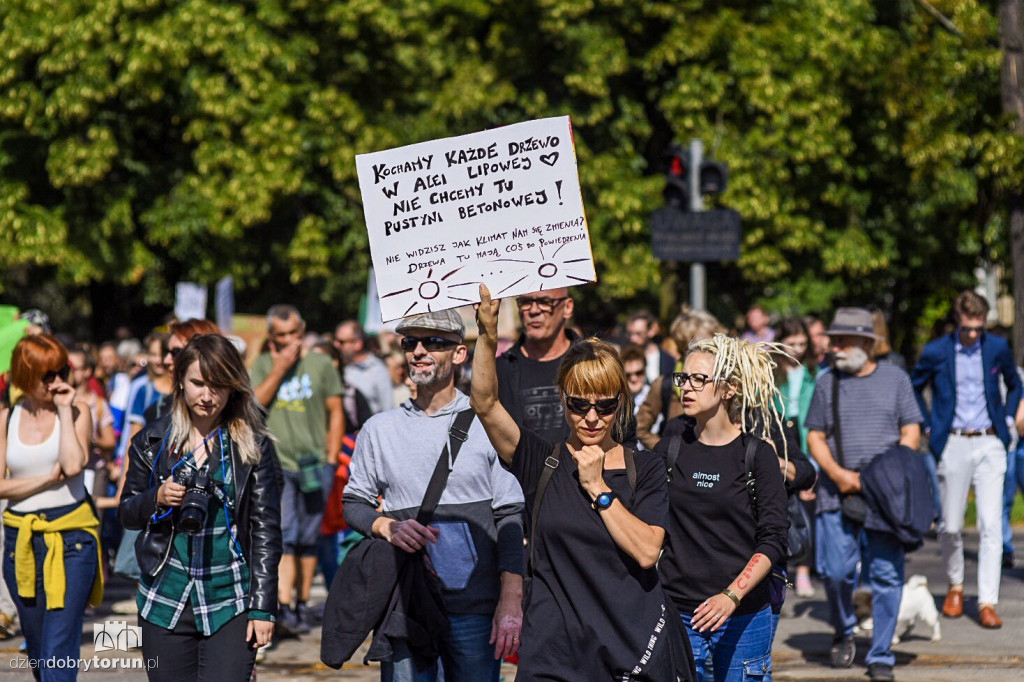 Protest przeciwko wycince drzew