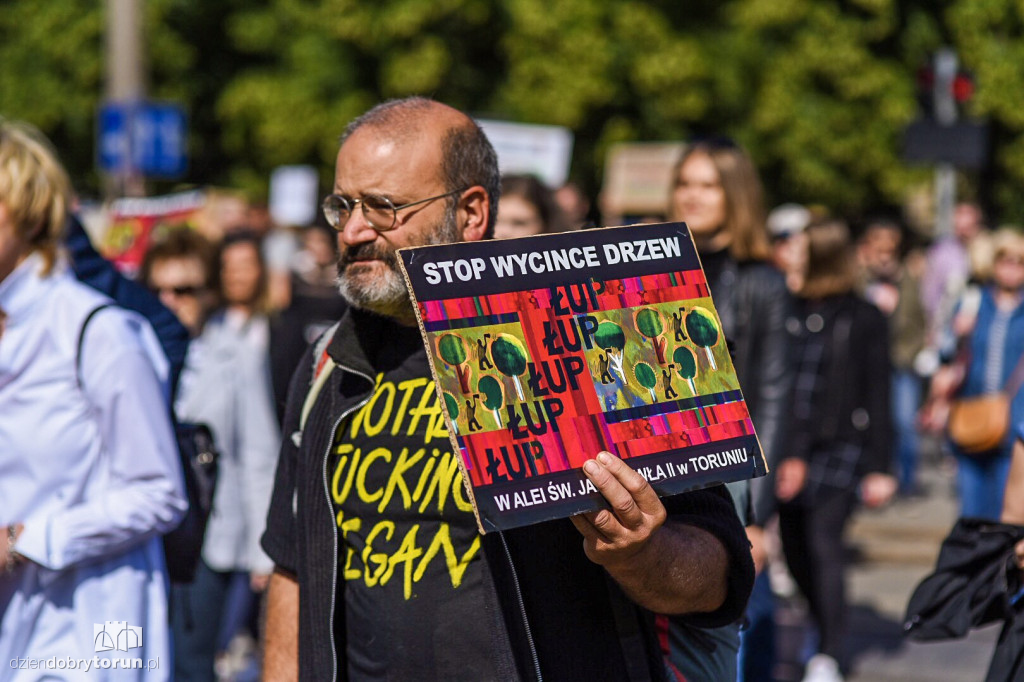 Protest przeciwko wycince drzew