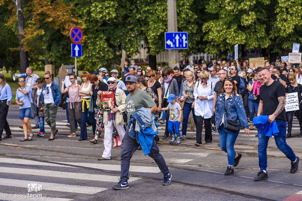 Protest przeciwko wycince drzew