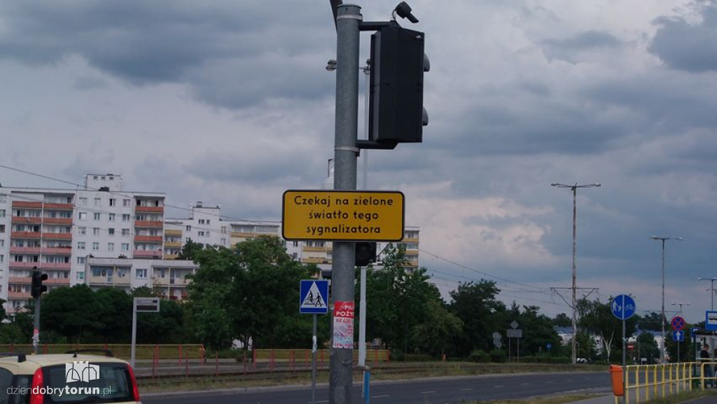 Pyta, jak ma sprawdzić, czy jest zielone