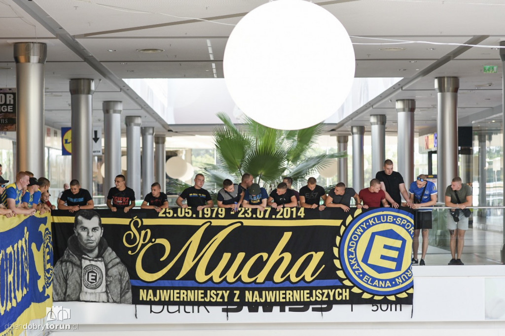 Konferencja Elany w Plazie