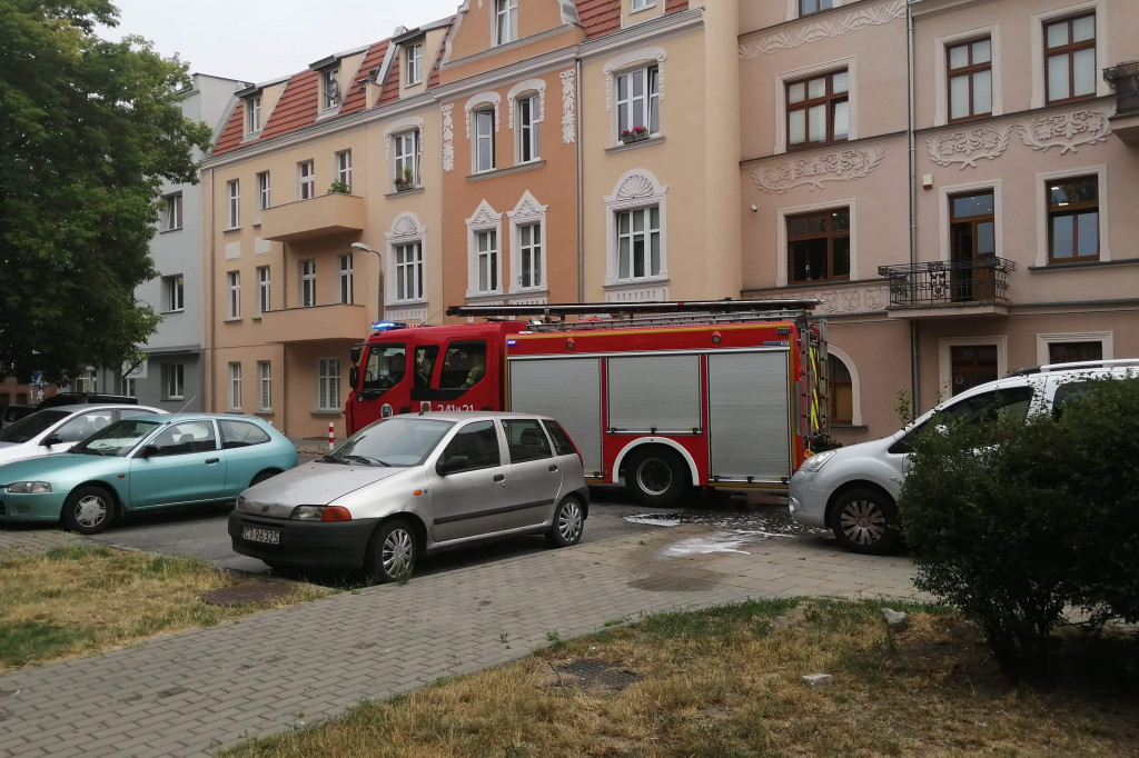 Pożar drzewa przy ul. Gałczyńskiego