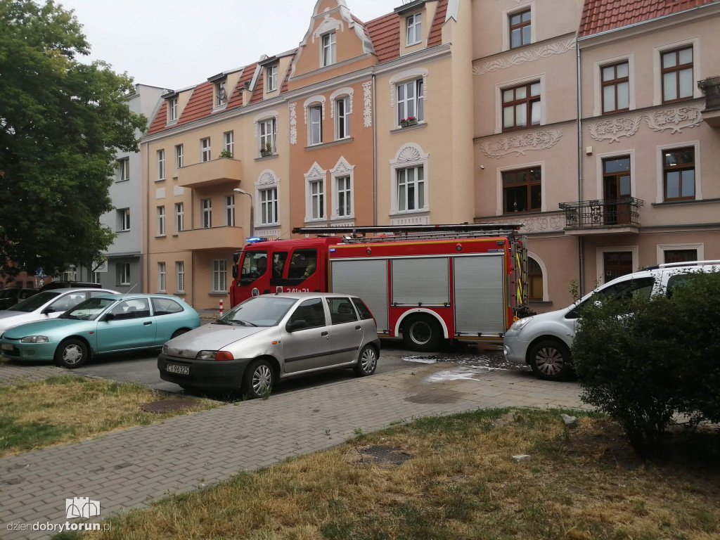 Pożar drzewa przy ul. Gałczyńskiego