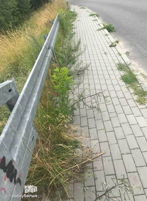 Zaniedbane chodniki na Bielawach
