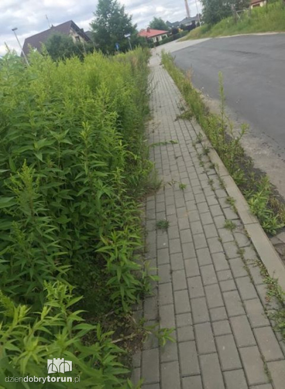 Zaniedbane chodniki na Bielawach