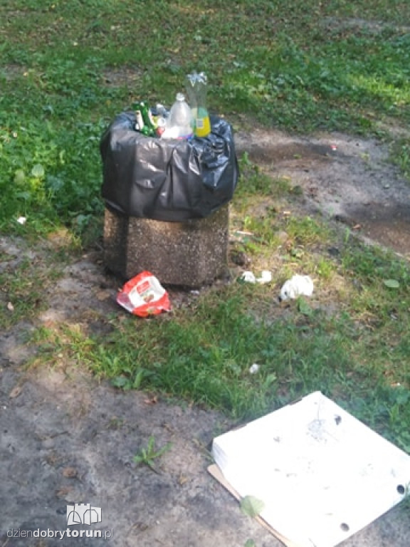 Park Tysiąclecia w Toruniu