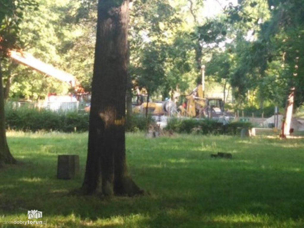 Park Tysiąclecia w Toruniu