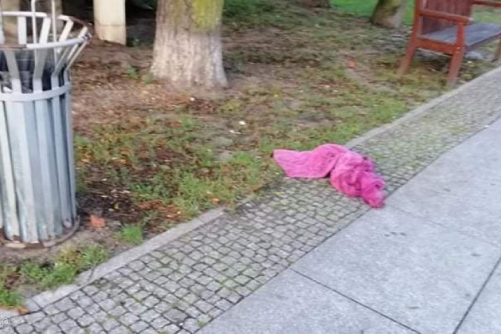 Kto zabalował w parku na Bydgoskim?